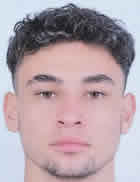 Efe Emir Gerenli