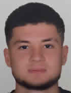 Hamdican Yavaş