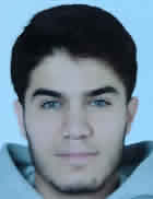 Mehdi Gök