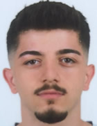 Şahin Dik